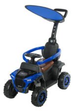 Coche De Empuje Mega Baby Push Car Techo Azul